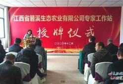 武宁新闻爆料事件最新,真相追踪与舆论漩涡