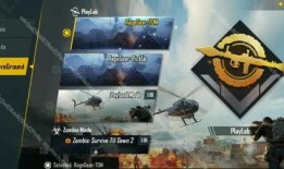 国际服最新版本爆料,全新内容与玩法前瞻