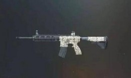 山椒鱼最新爆料,揭秘神秘事件背后惊人真相