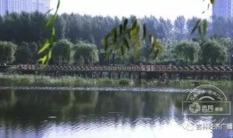 伊通河最新爆料,揭秘河道治理背后的故事